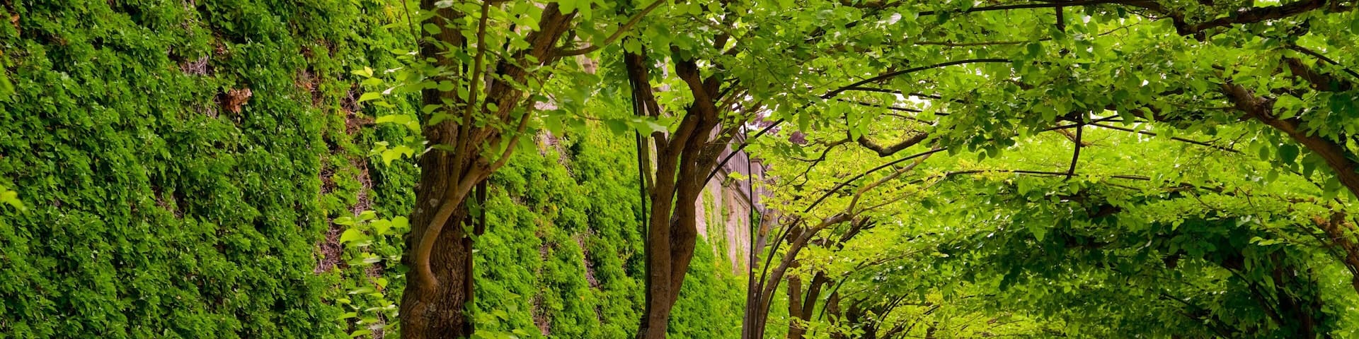 Würzburg Residence featuring a garden
