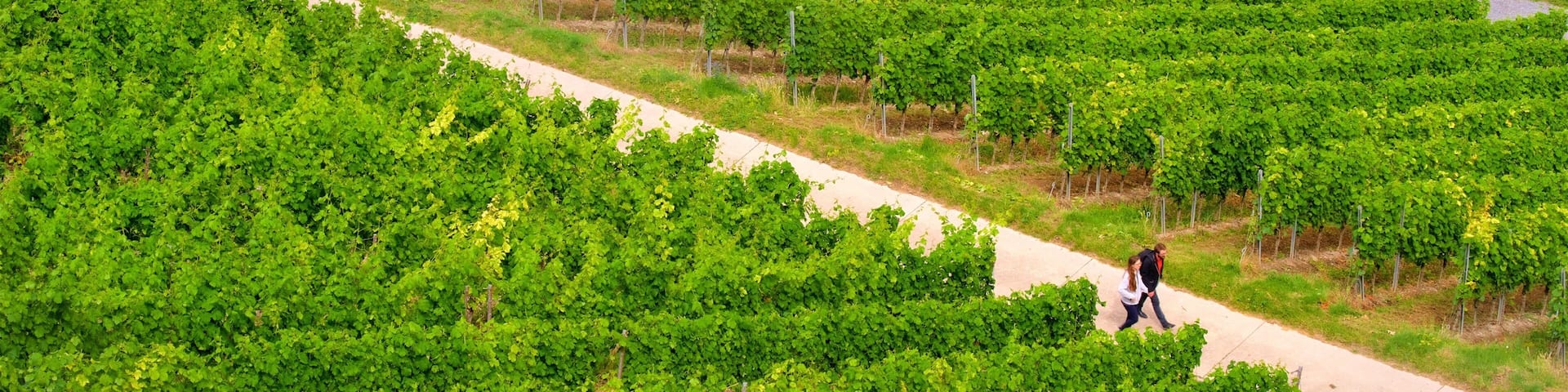 Fortress Marienberg showing farmland as well as a couple