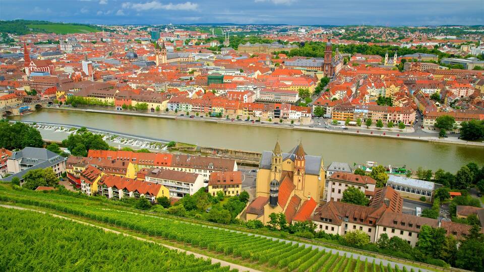 A panoramic view of a city with a river, historic buildings, and vineyards.