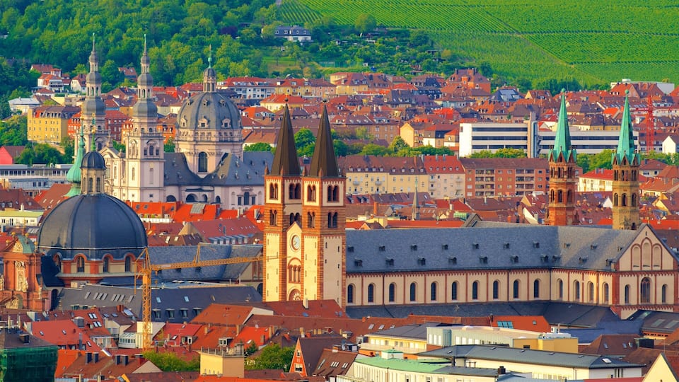 Wuerzburg Cathedral featuring heritage elements and a city
