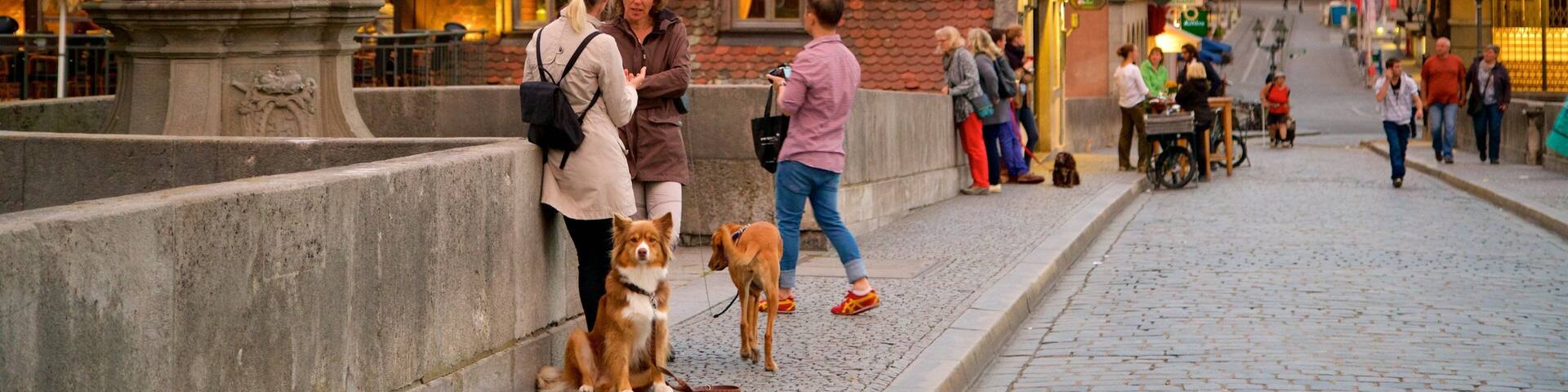 Alte Mainbrücke welches beinhaltet Geschichtliches und Statue oder Skulptur sowie kleine Menschengruppe