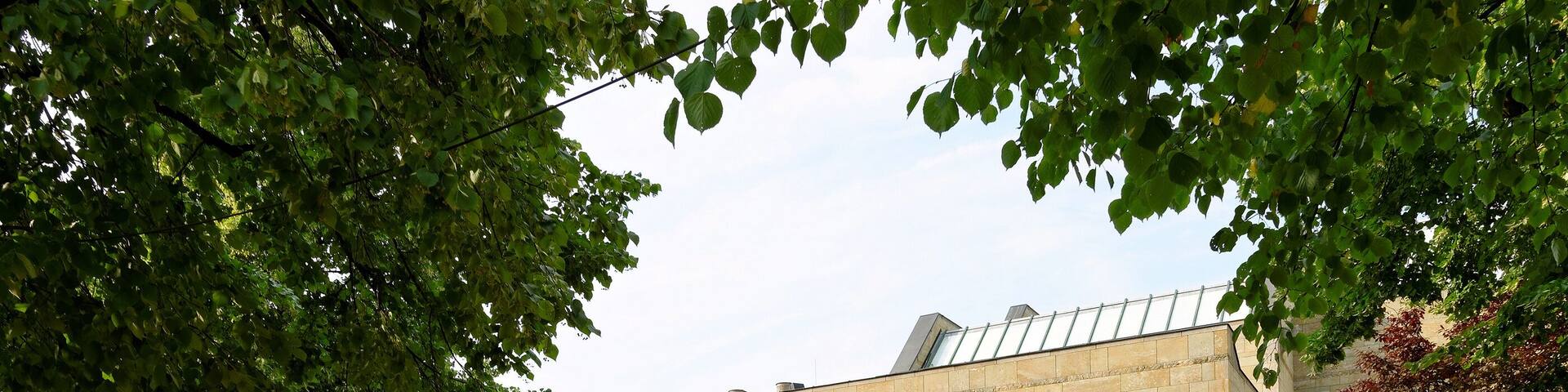 A building with a modern design, surrounded by trees and a bicycle parking area.