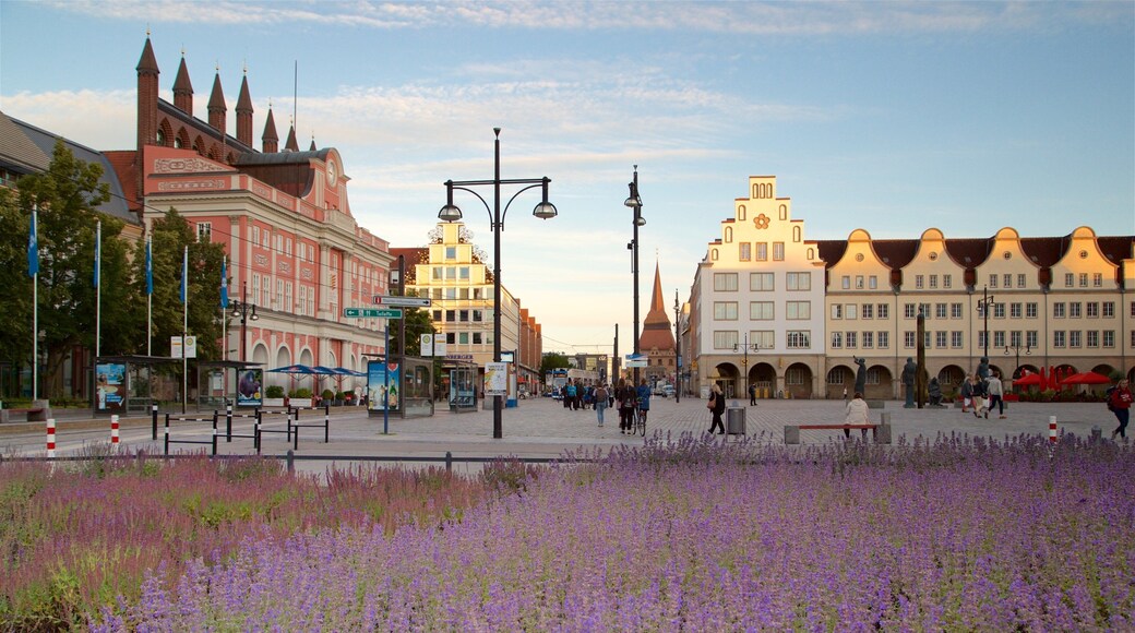 ニュー マーケット どの含み 公園, 野花 と 都市