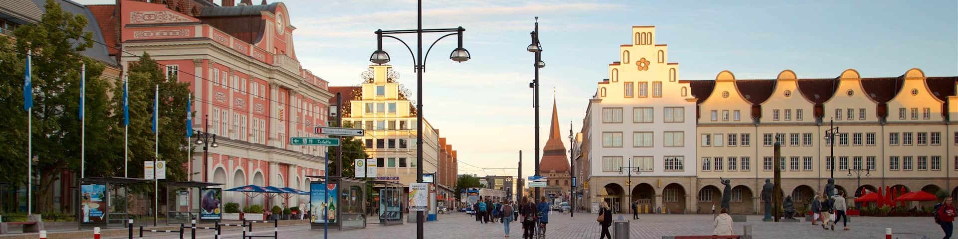 New Market which includes a park, a city and wildflowers