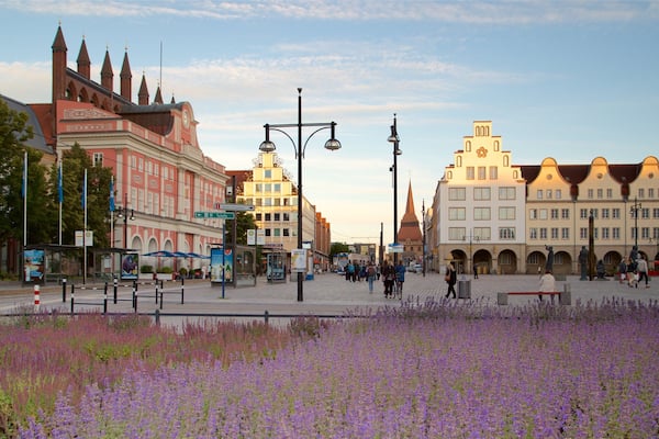 New Market montrant parc, fleurs sauvages et ville