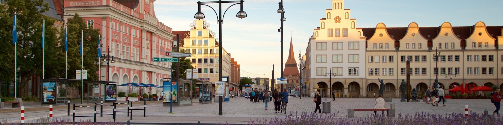 New Market which includes a park, a city and wildflowers