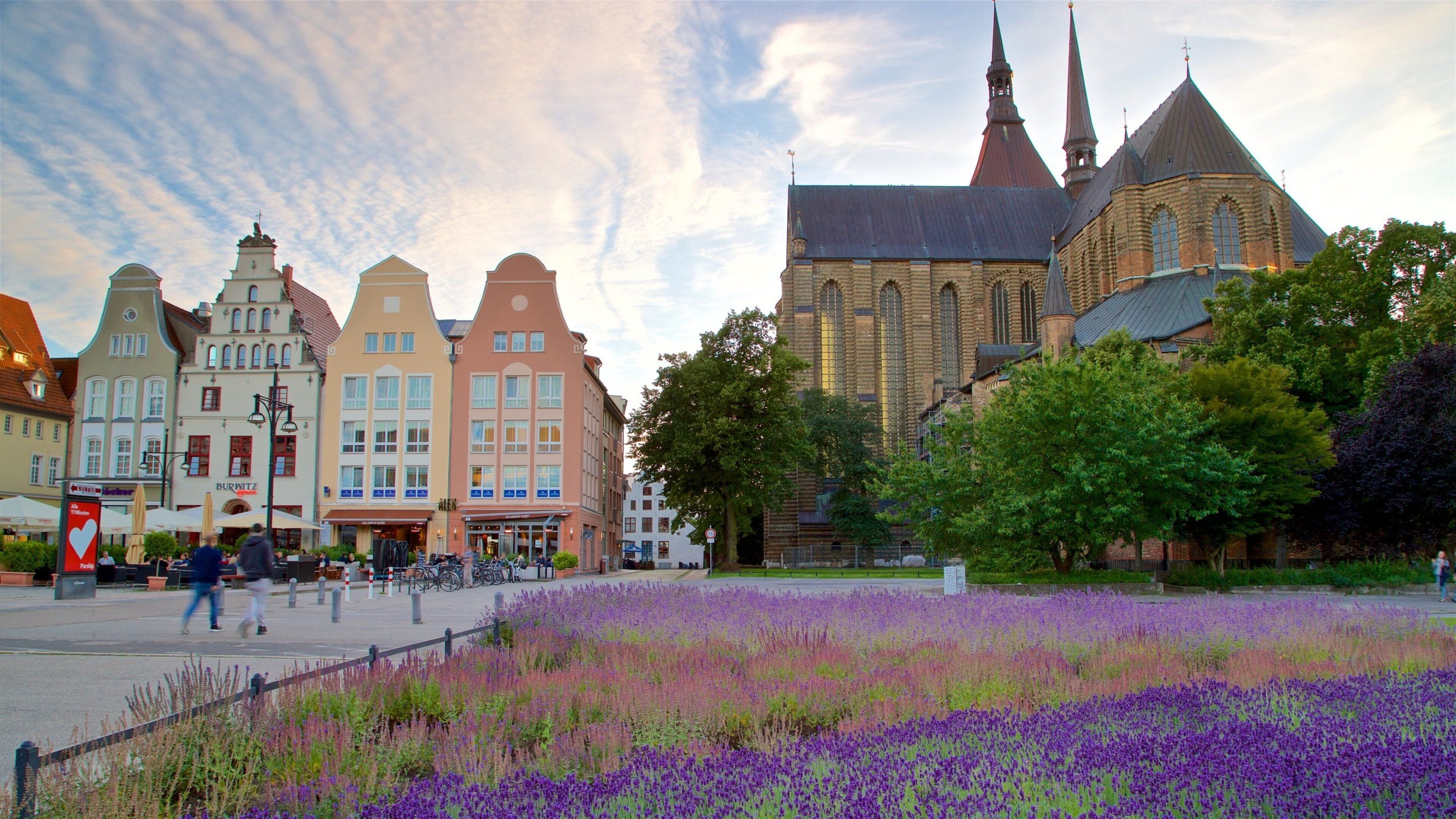 Marienkirche som visar historisk arkitektur, en park och blommor