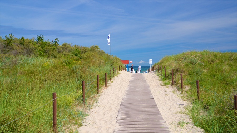 Una pasarela de madera que conduce a una playa con una bandera y una estructura de techo rojo.