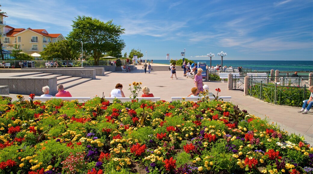 Praia de KĂŒhlungsborn mostrando paisagens litorĂąneas e flores assim como um pequeno grupo de pessoas