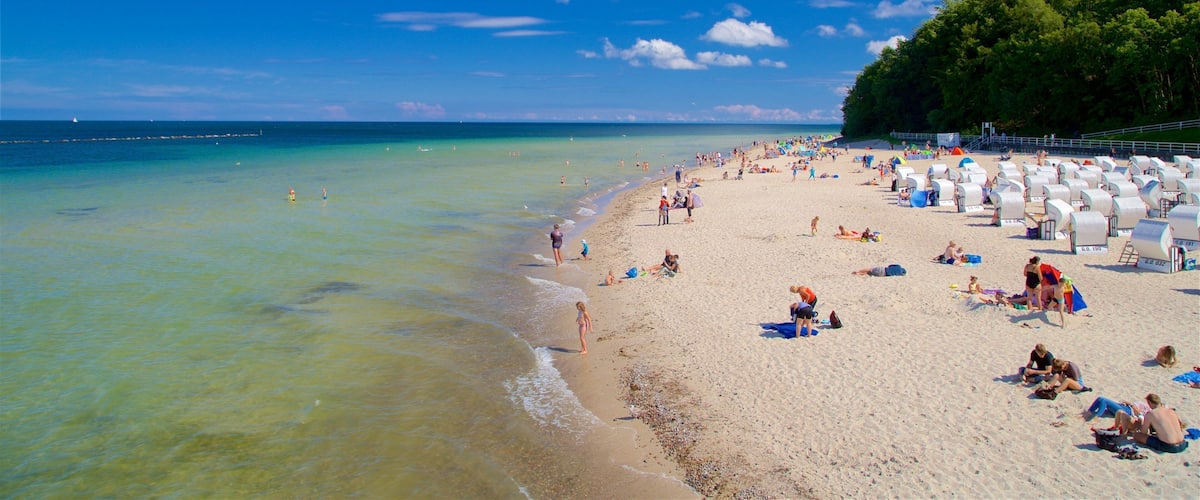 A crowded beach with clear turquoise water, a sandy shore, and a line of trees in the background.