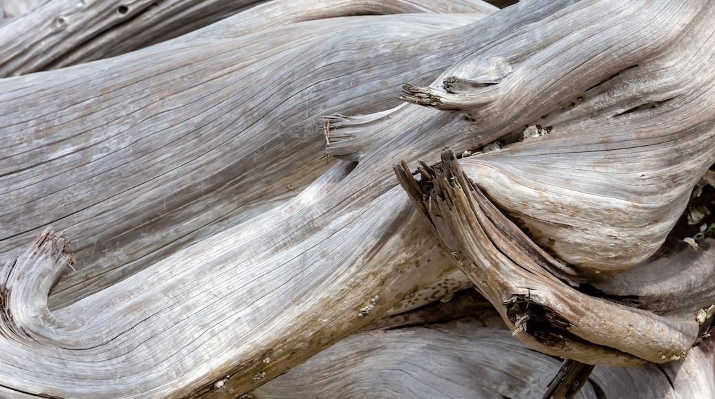 Jekyll Island State Park