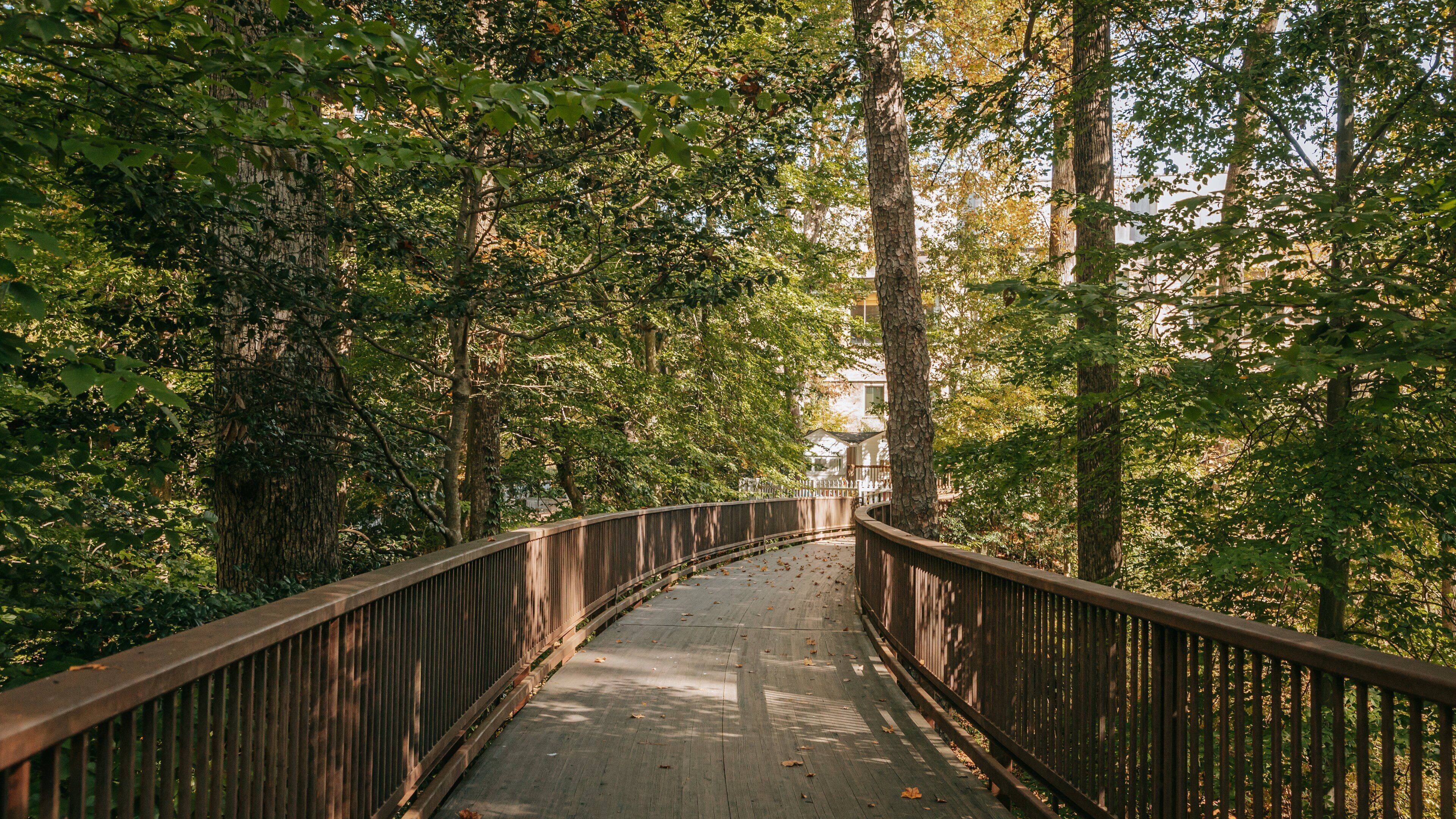 Atlanta History Center featuring forests and a bridge
