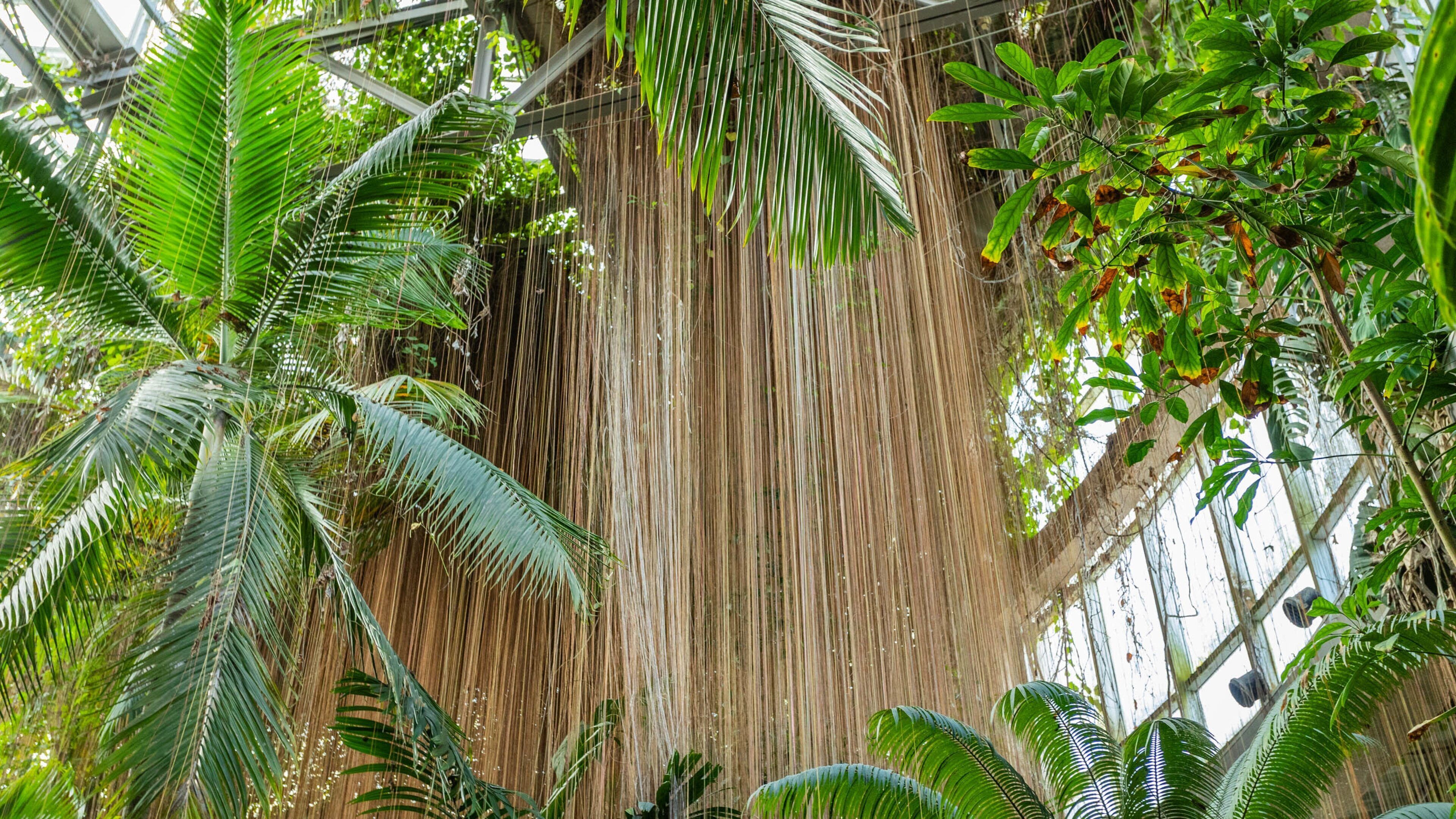 Atlanta Botanical Garden showing a park and interior views
