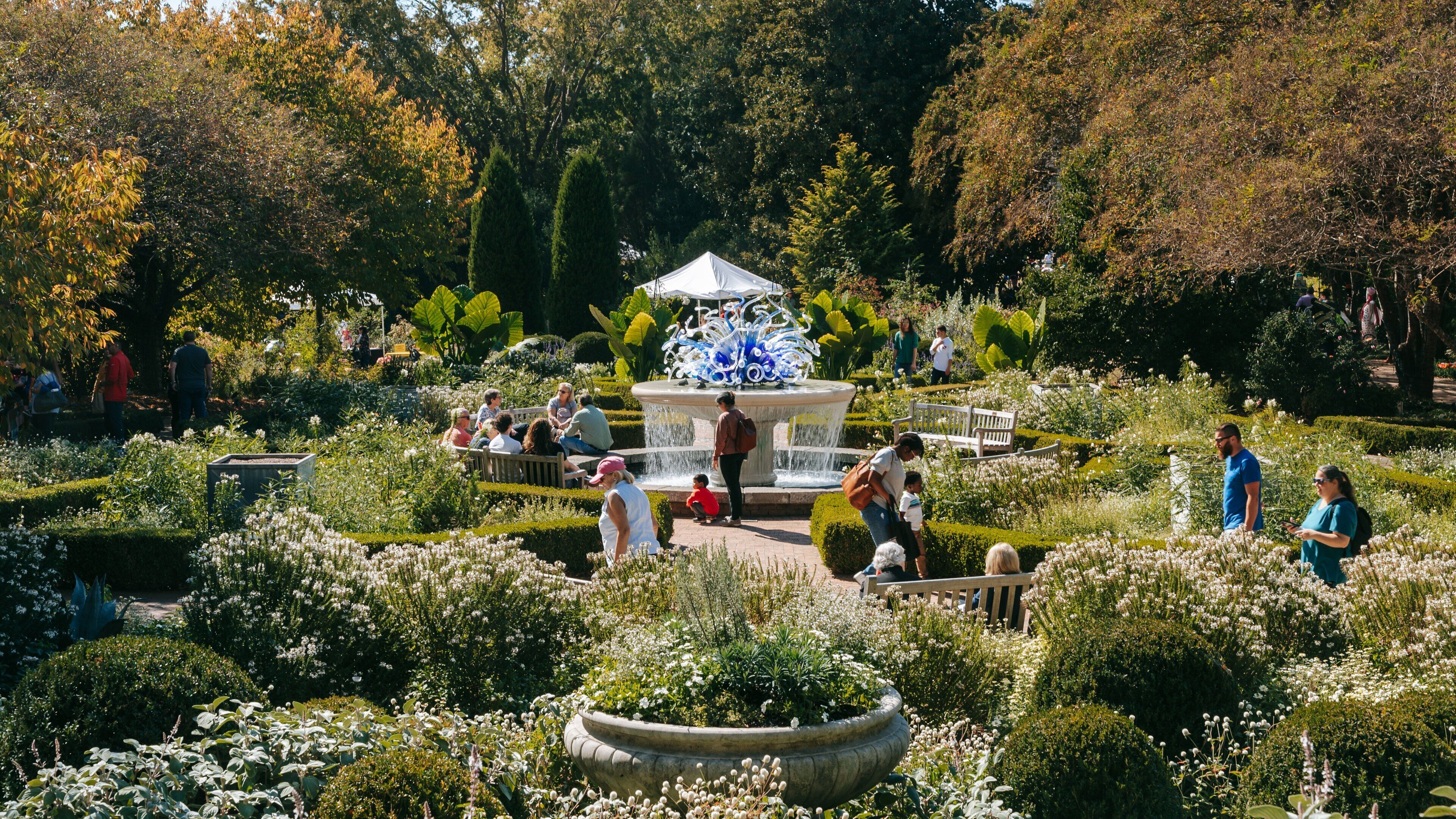 Atlanta Botanical Garden featuring wildflowers, a fountain and a park