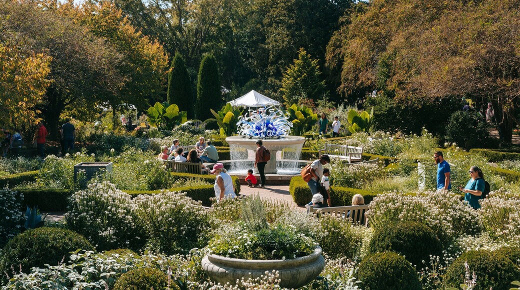 Atlanta Botanical Garden featuring wildflowers, a fountain and a park