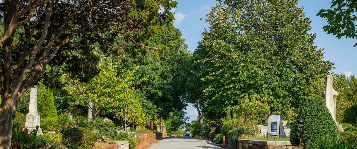 Oakland Cemetery featuring a garden