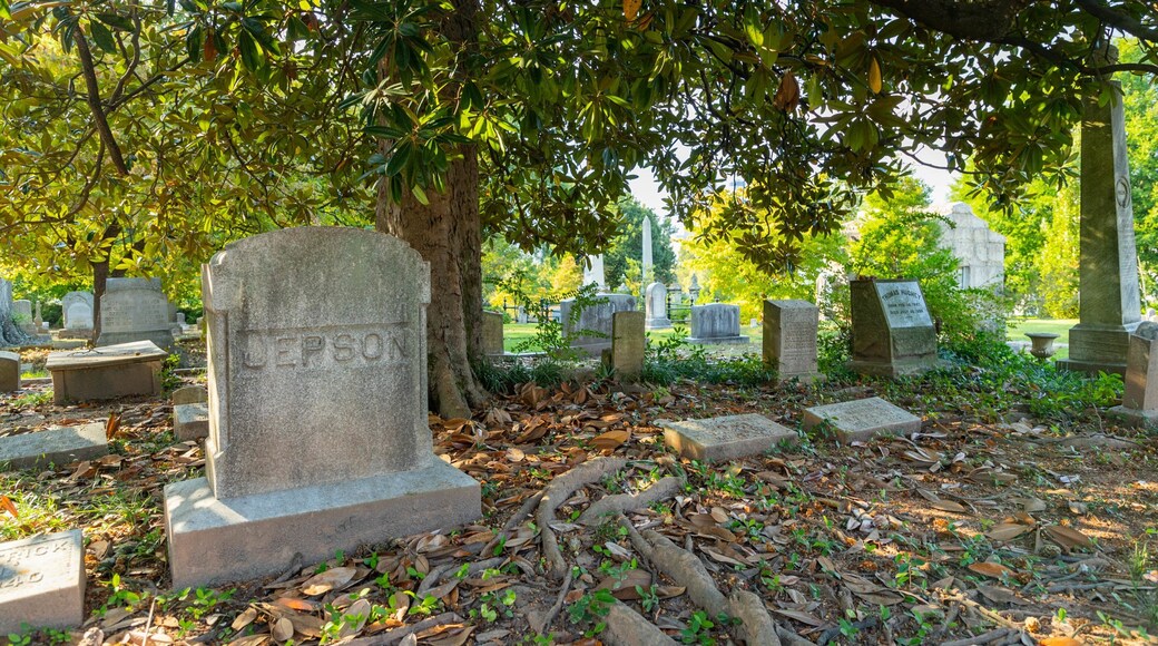 Oakland Cemetery showing a cemetery