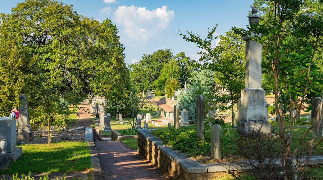 Oakland Cemetery featuring a cemetery