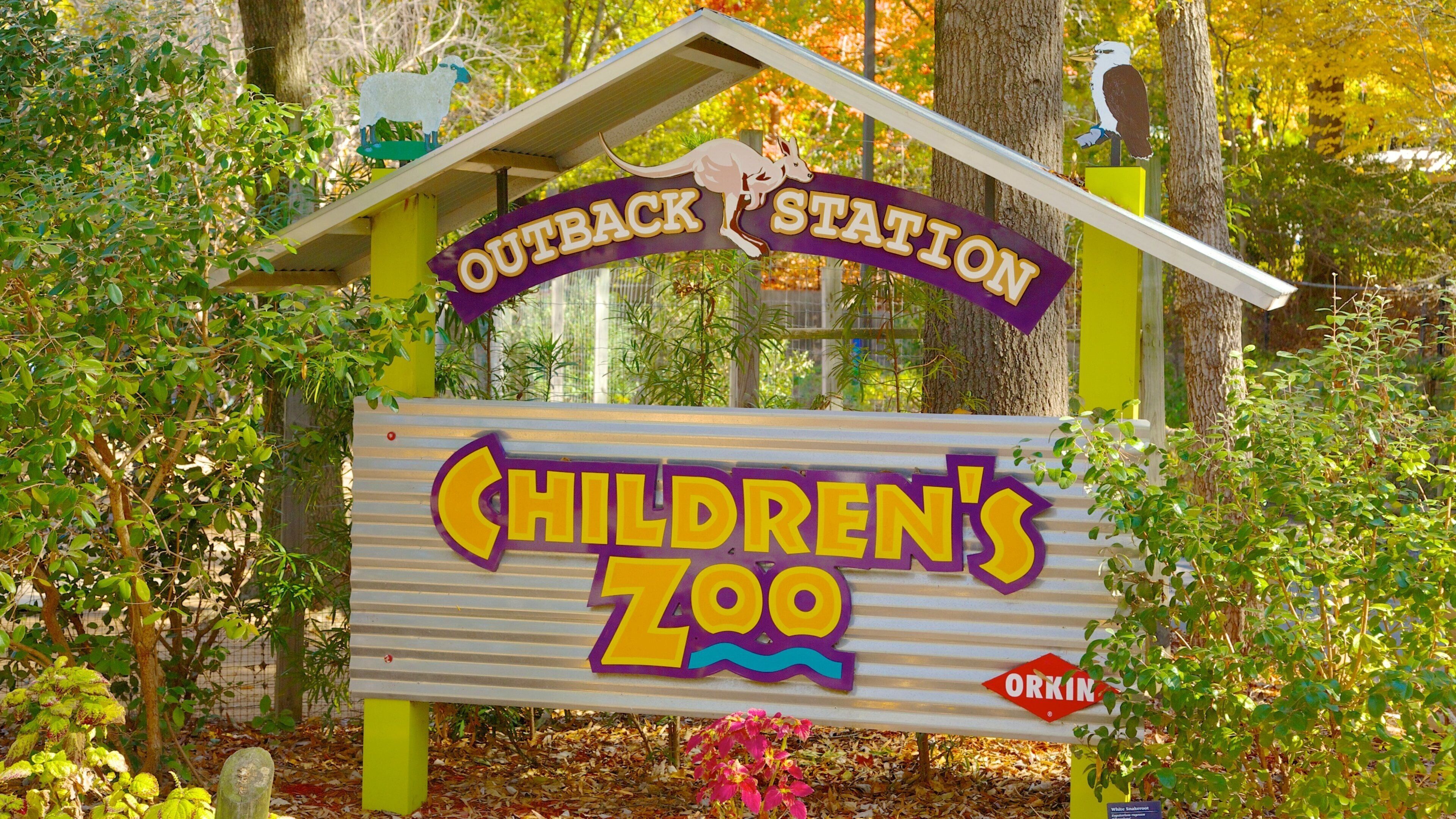 Exploring Outback Station at Children's Zoo in Zoo Atlanta during a fall afternoon