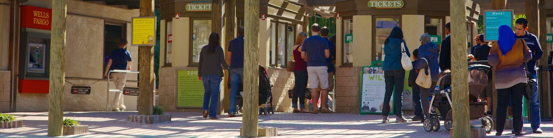 Zoo Atlanta das einen Beschilderung und Zootiere sowie große Menschengruppe