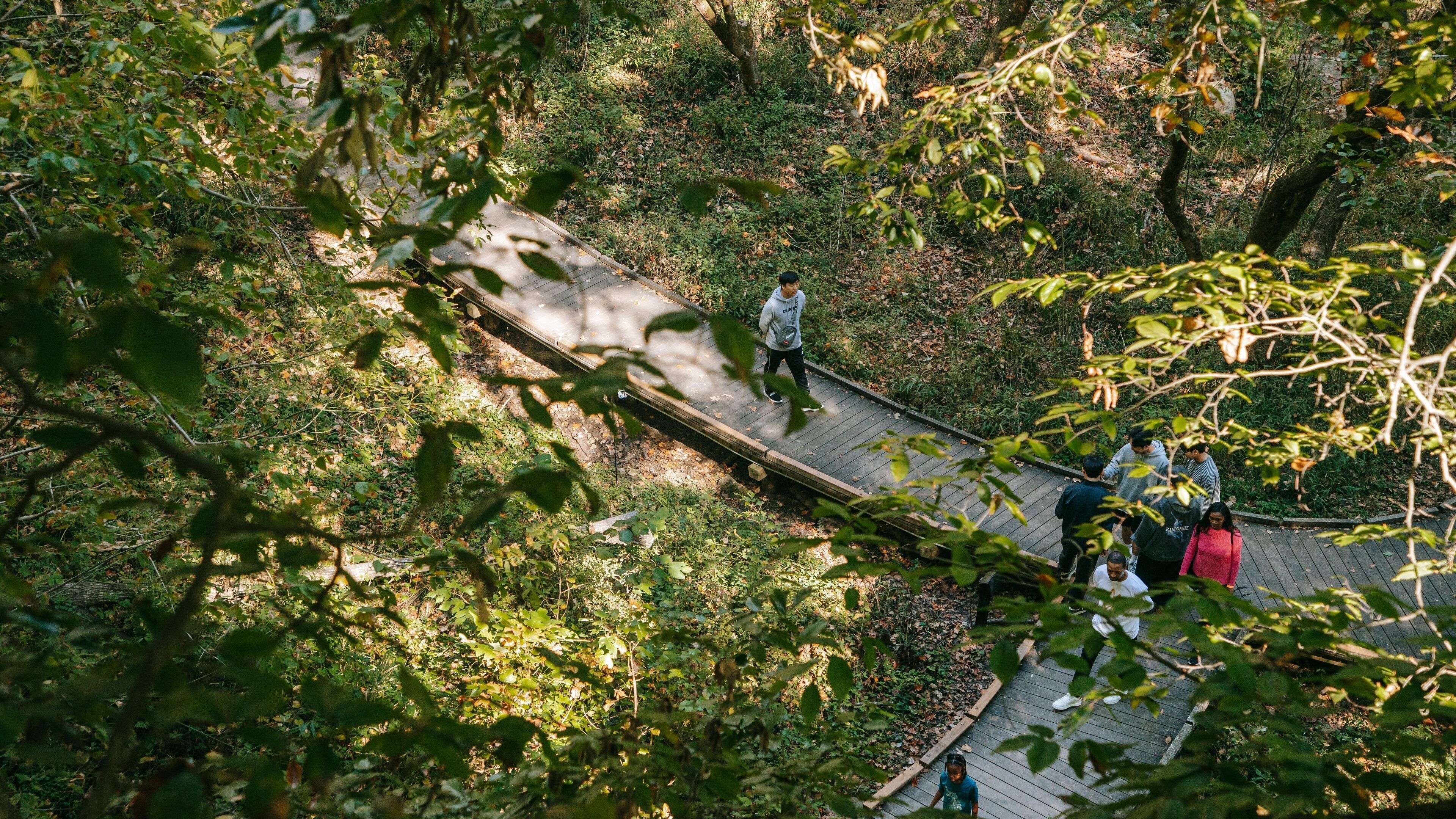 Fernbank Museum of Natural History showing a garden as well as a small group of people