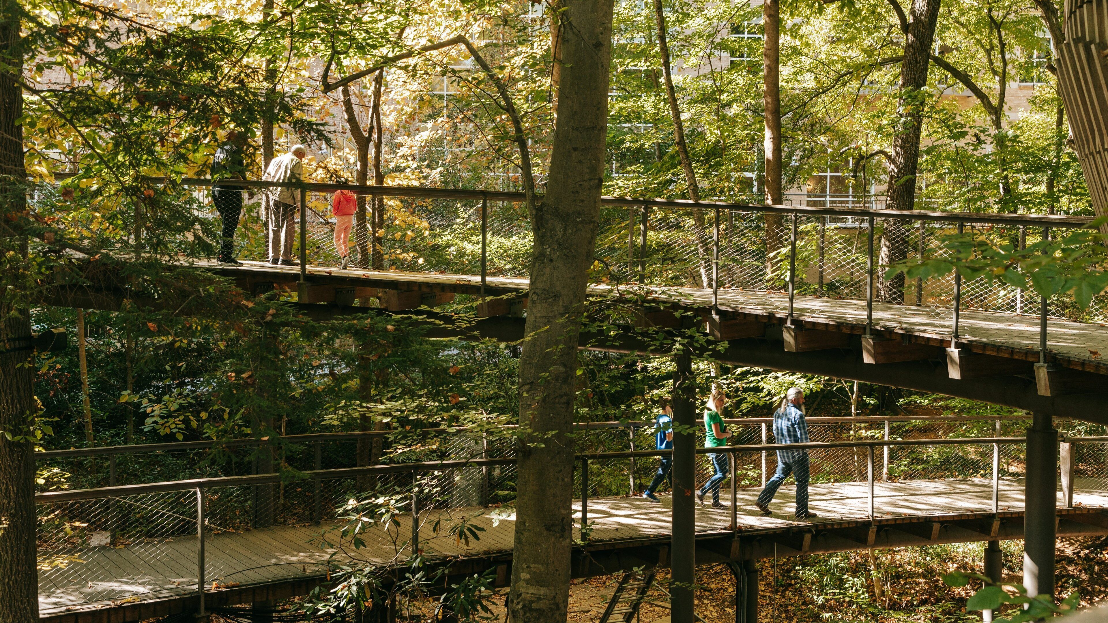 Fernbank Museum of Natural History which includes a park, forests and a bridge