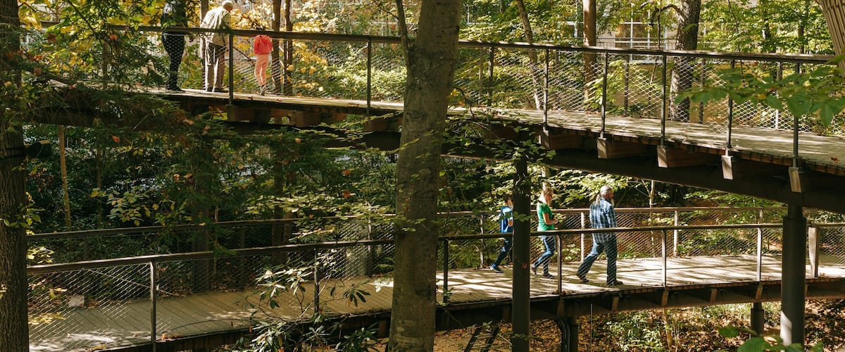 Fernbank Museum of Natural History which includes a park, forests and a bridge