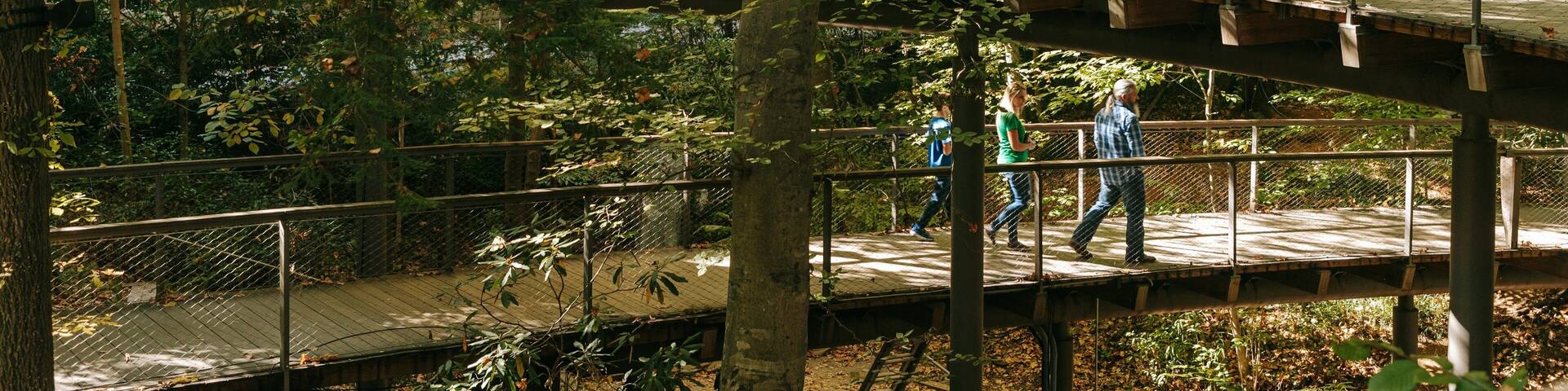 Un puente de madera de varios niveles en un área boscosa, con gente caminando sobre él.
