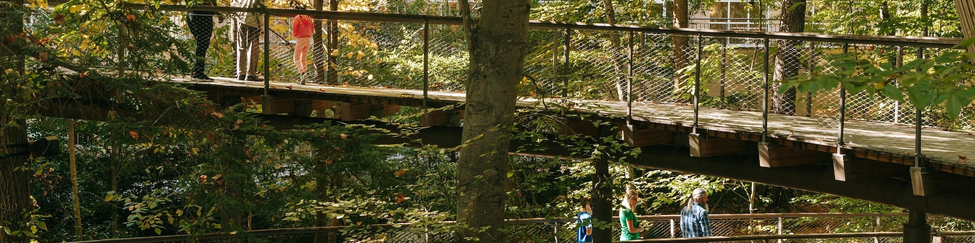 Fernbank Museum of Natural History which includes a park, forests and a bridge