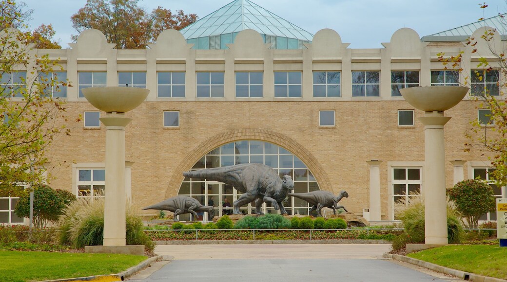 Fernbank Museum of Natural History showing a city