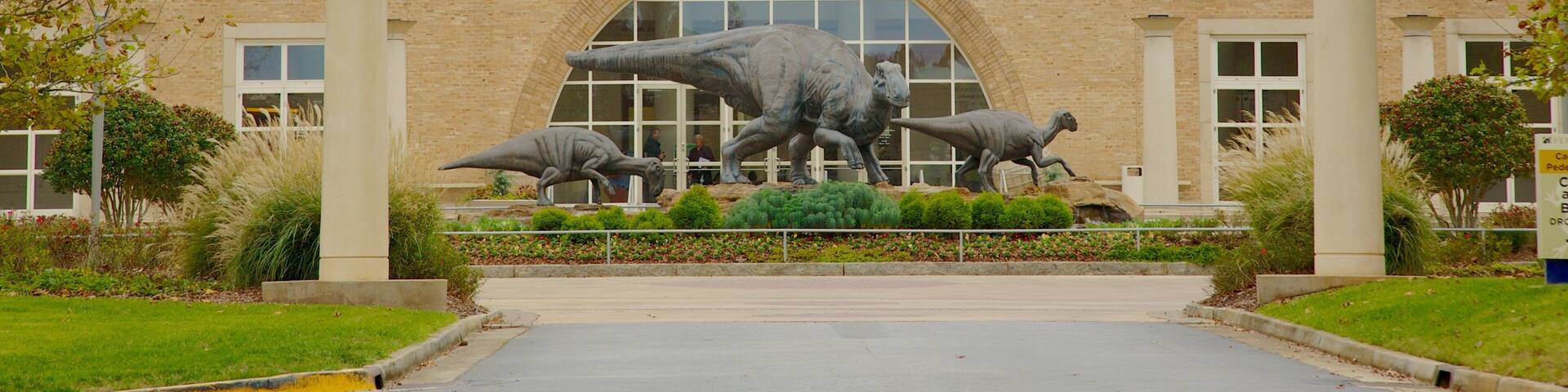 Exploring Fernbank Museum of Natural History in Atlanta with dinosaur sculptures