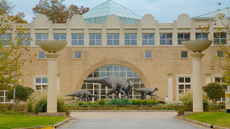 Exploring Fernbank Museum of Natural History in Atlanta with dinosaur sculptures