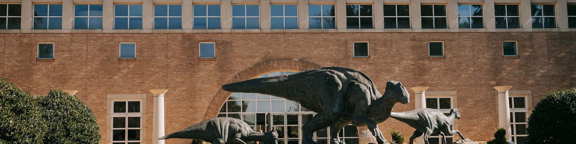 Fernbank Museum of Natural History featuring outdoor art