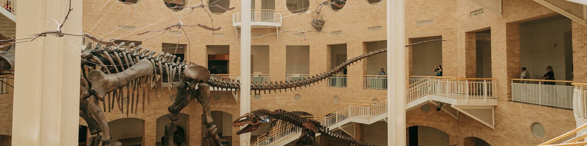 Fernbank Museum of Natural History showing heritage elements and interior views