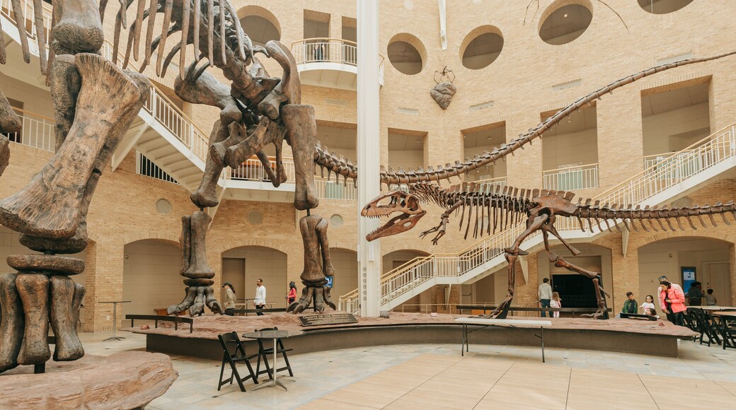 Fernbank Museum of Natural History showing heritage elements