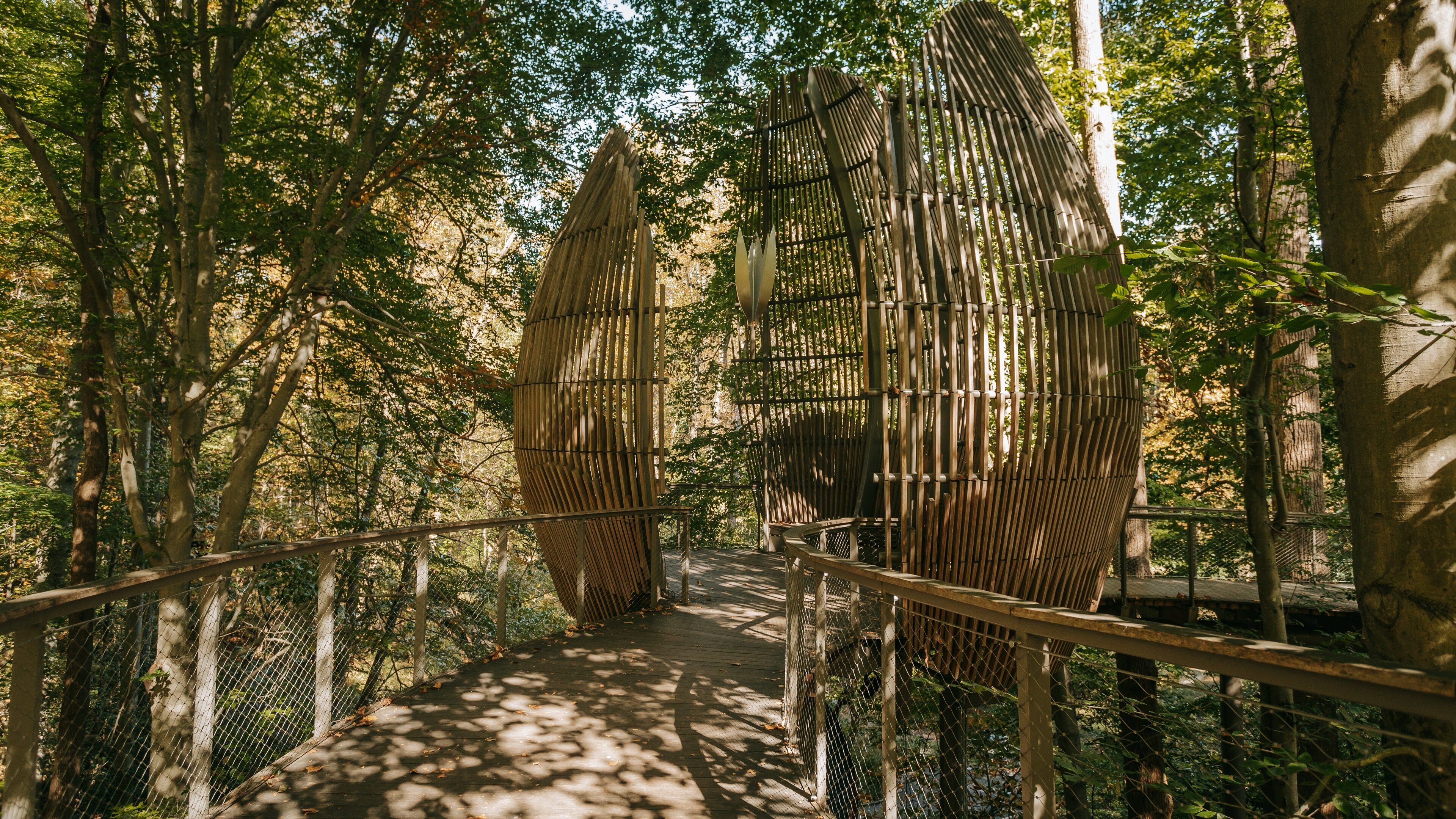 Fernbank Museum of Natural History showing forests and a garden