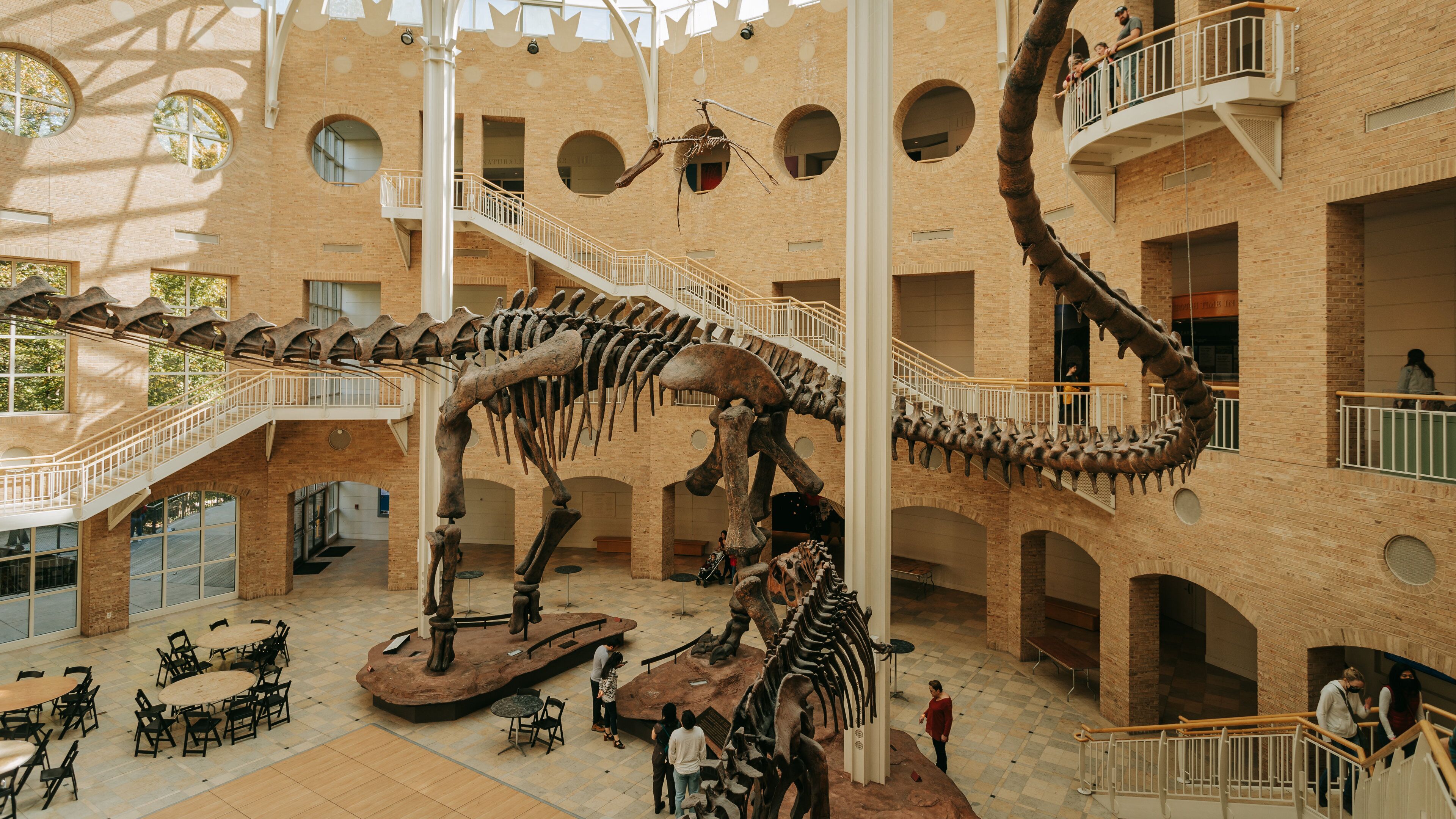 Fernbank Museum of Natural History showing heritage elements and interior views