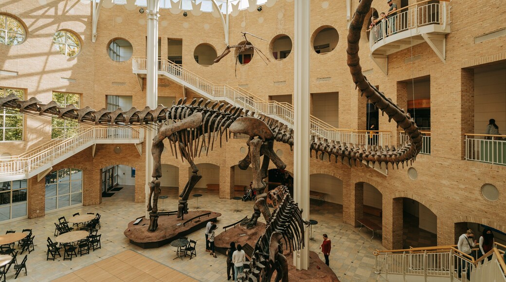 Fernbank Museum of Natural History showing heritage elements and interior views