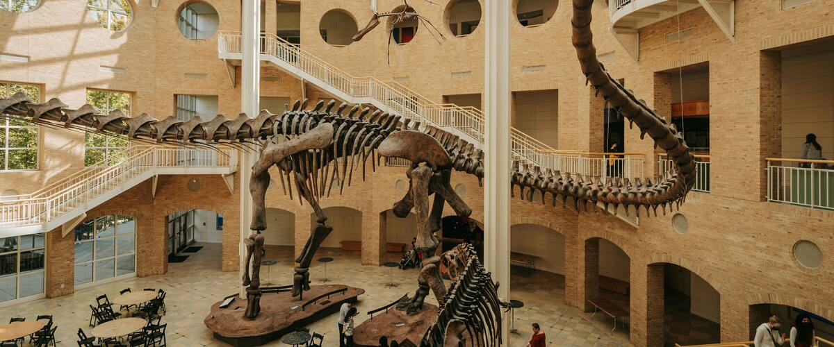 Fernbank Museum of Natural History showing heritage elements and interior views