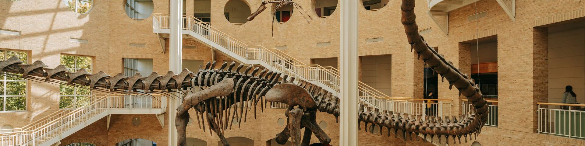 Fernbank Museum of Natural History showing heritage elements and interior views