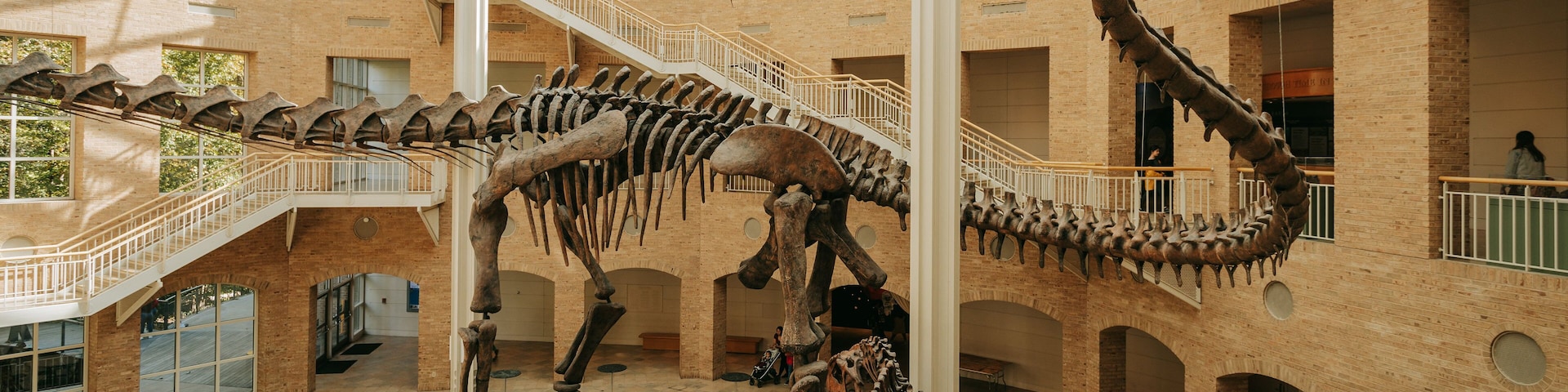 Fernbank Museum of Natural History showing heritage elements and interior views