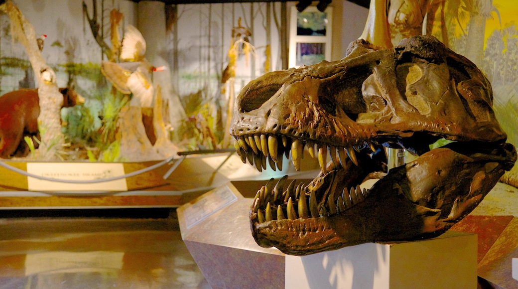 Fernbank Science Center featuring interior views