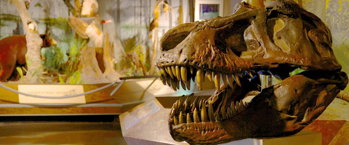 Fernbank Science Center which includes interior views