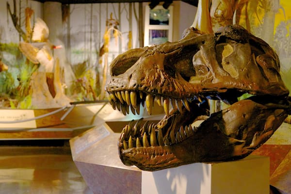 Fernbank Science Center which includes interior views