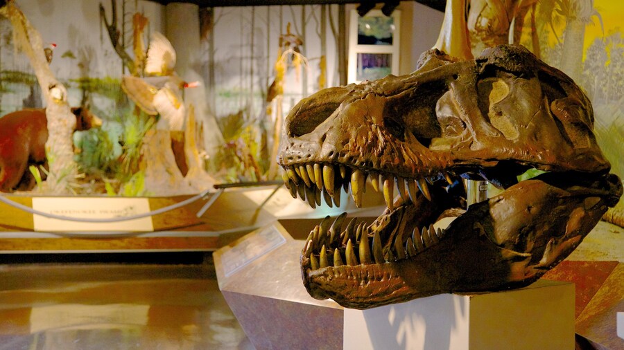 Fernbank Science Center featuring interior views