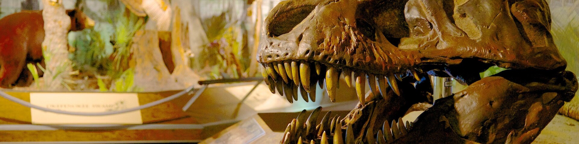 Fernbank Science Center featuring interior views