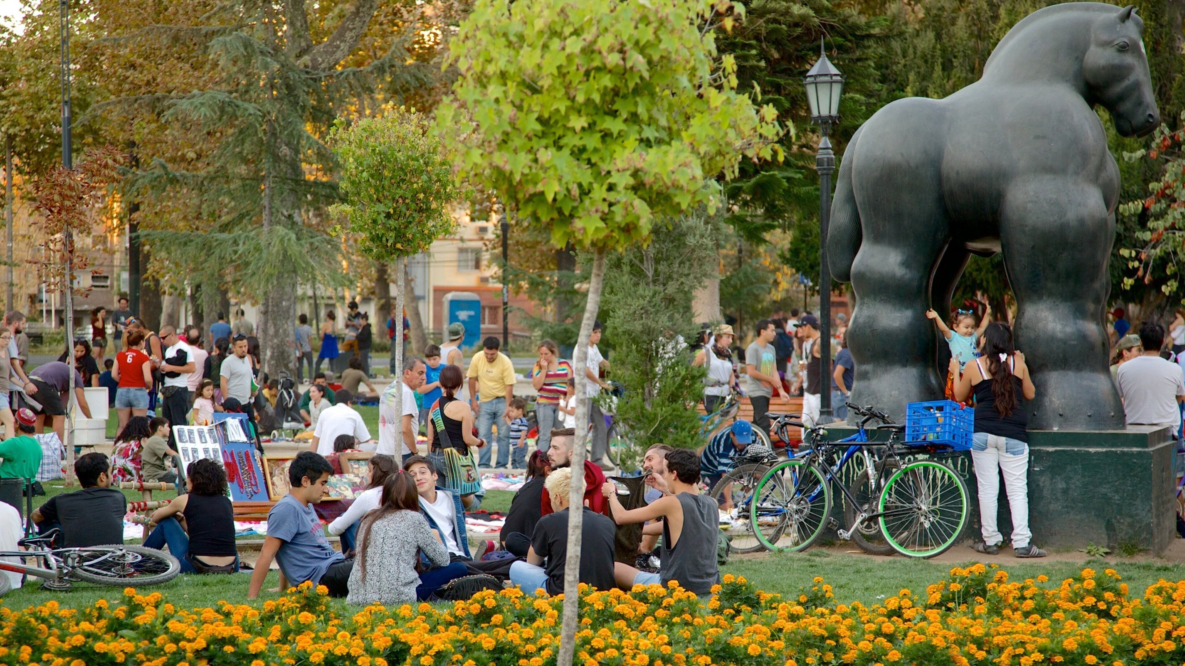 Museo de Arte Contemporáneo mostrando una ciudad, un jardín y arte