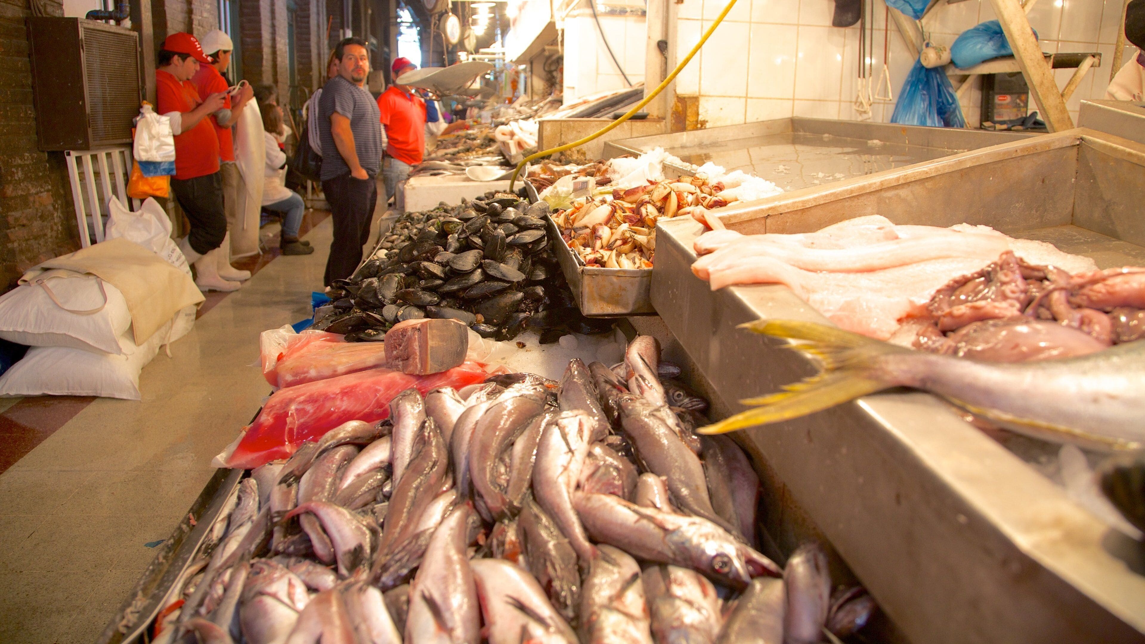 Mercado Central mostrando mercados, comida y vistas interiores