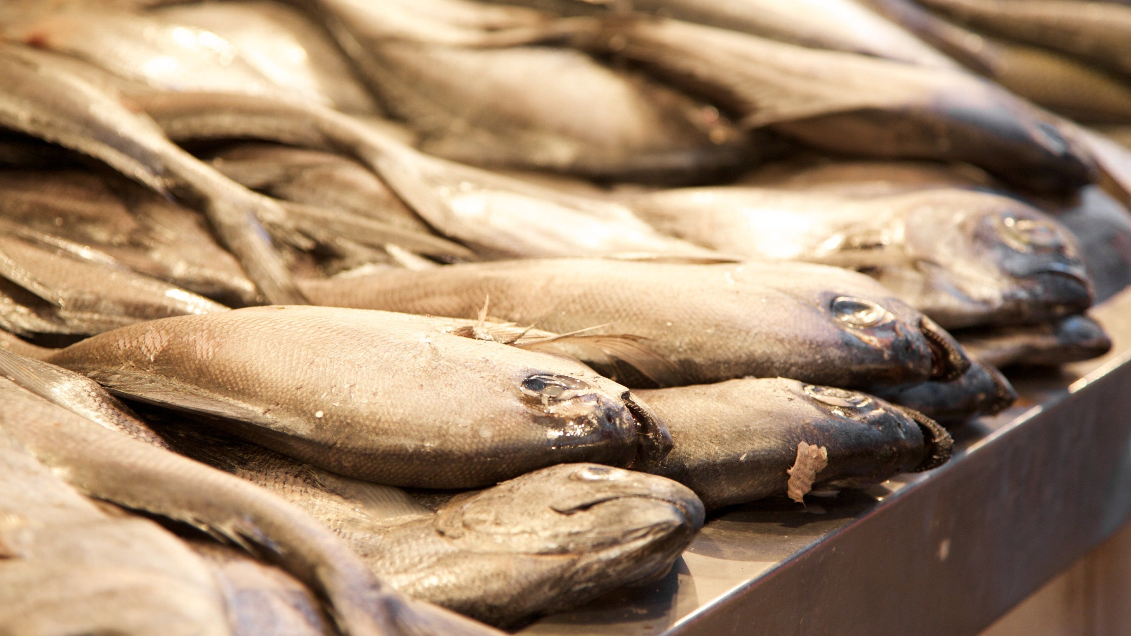 Mercado Central which includes markets and food