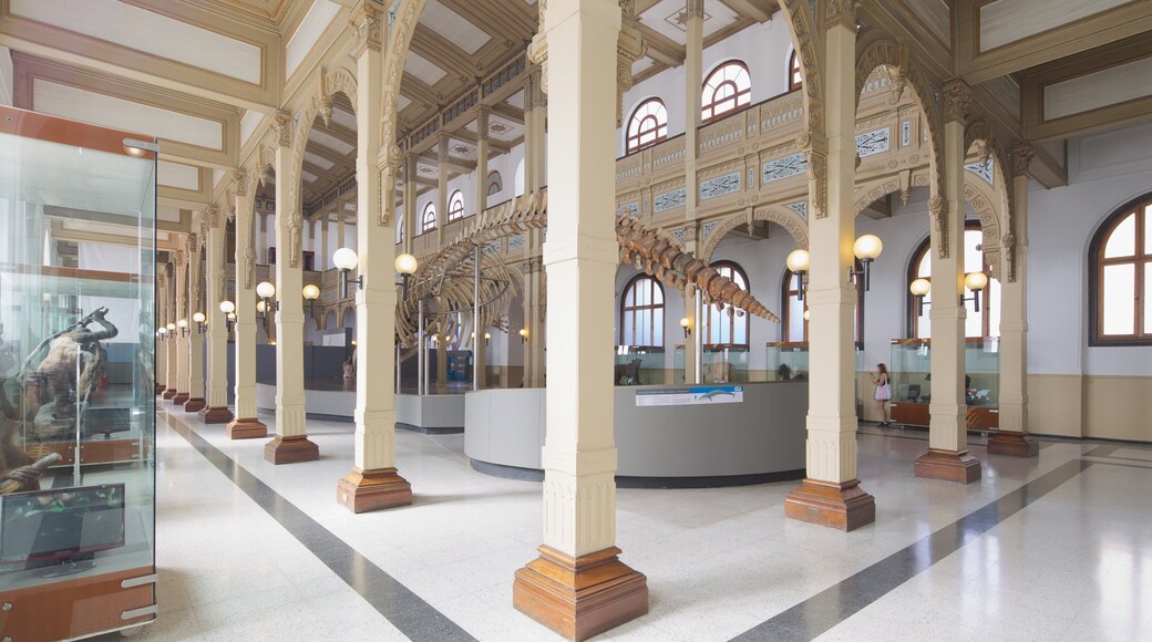 國立自然歷史博物館 其中包括 內部景觀